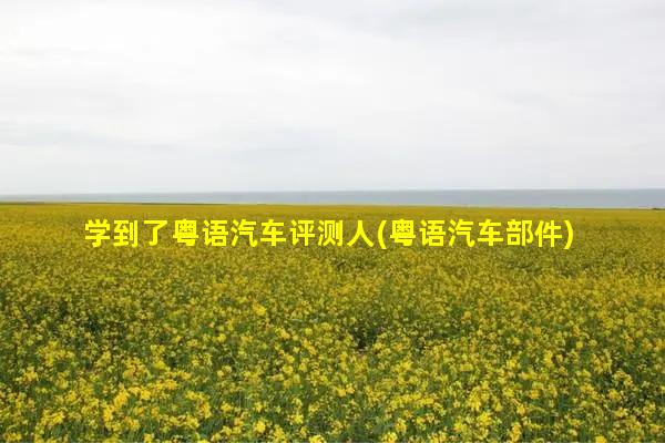 广东话汽车品牌:讲汽车知识的广东话博主
