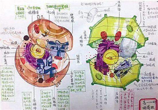 汽车手绘设计:汽车手绘知识点高中生物